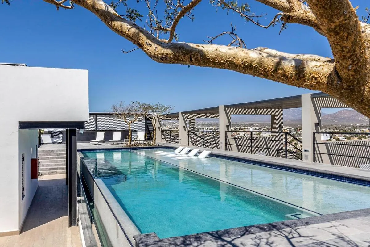 Semesterbostad Cabo Penthouse Rooftop Pool Walk To Marina Cabo San Lucas